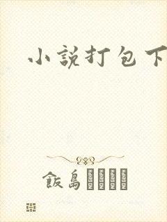 小说打包下载封面