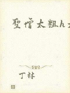 圣僧太粗h太大封面
