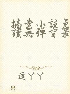 摘棠小说免费阅读无弹窗最新章节