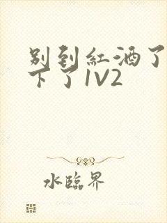 别到红酒了装不下了1V2