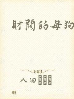 财阀的母狗们封面