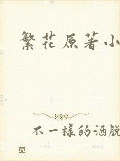 繁花原著小说