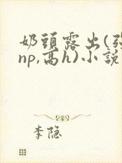 奶头露出(强jnp,高h)小说