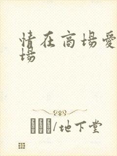 情在商场爱在官场