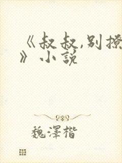 《叔叔,别撩我》小说