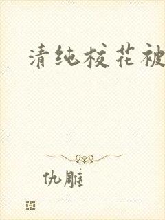 清纯校花被c封面