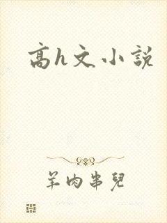 高h文小说封面