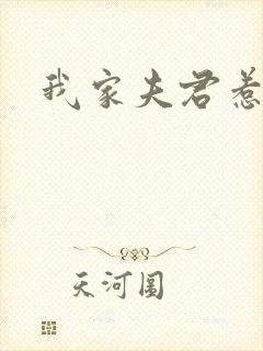 我家夫君惹不起封面