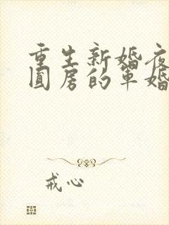 重生新婚夜正在圆房的军婚封面