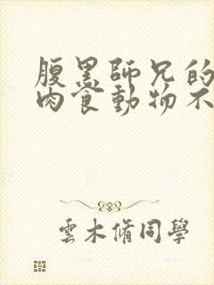 腹黑师兄的日常肉食动物不食草