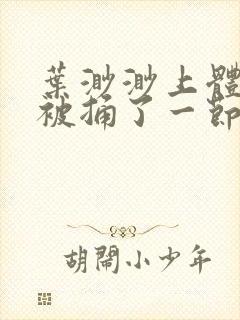 叶渺渺上体育课被捅了一节课封面