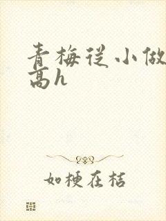 青梅从小做到大高h