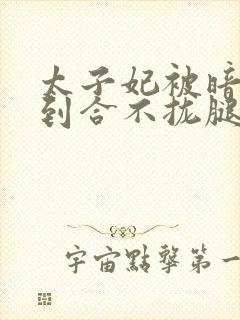 太子妃被暗卫C到合不拢腿