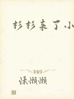 杉杉来了小说封面