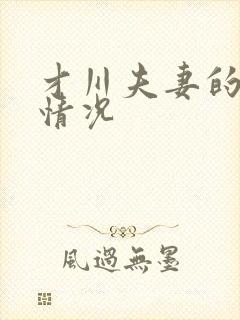 才川夫妻的恋爱情况封面