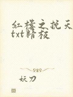 红楼之挽天倾无txt精校