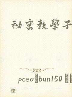 秘密教学子豪