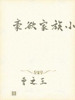 豪欲家族小说