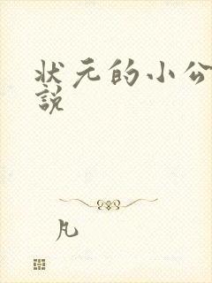 状元的小公主小说