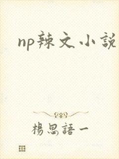 np辣文小说封面