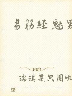 易筋经 魅男封面