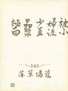 极品少妇被猛得白浆直流小说封面