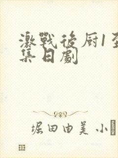 激战后厨1至5集日剧