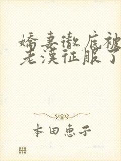 娇妻彻底被门卫老汉征服了封面