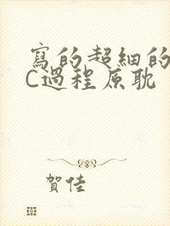 写的超细的多肉C过程原耽