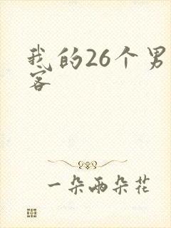我的26个男房客