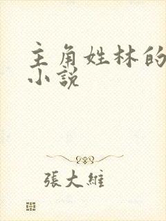 主角姓林的都市小说封面