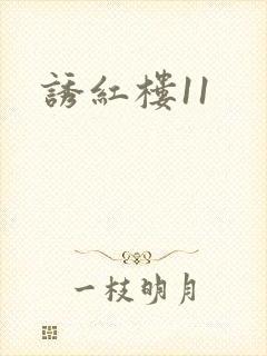 诱红楼11