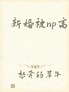 新婚被np高h