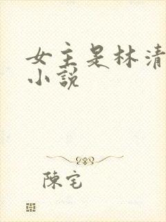 女主是林清妍的小说封面