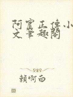 阿宾正传小说全文笔趣阁封面