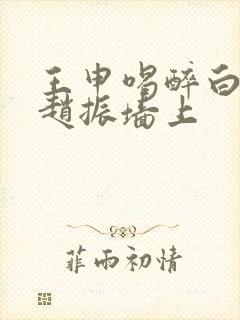 王申喝醉白洁被赵振墙上