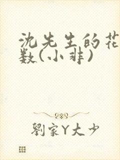 沈先生的花式调数(小非)