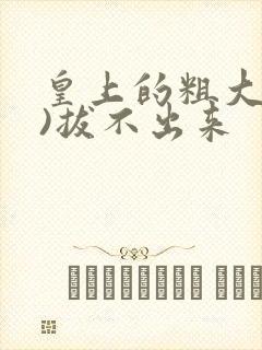 皇上的粗大(h)拔不出来封面