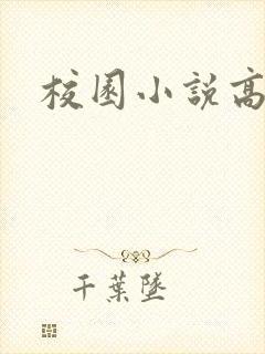 校园小说高h