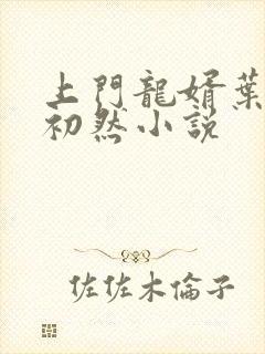 上门龙婿叶辰萧初然小说