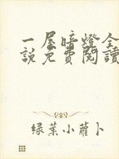 一屋暗灯全文小说免费阅读