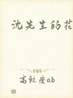 沈先生的花式调