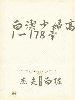 白洁少妇高义第1一178章