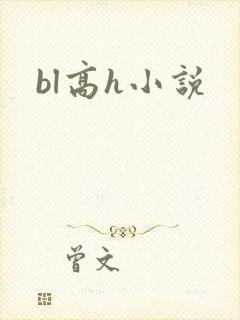 bl高h小说封面