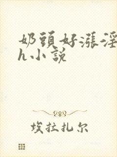 奶头好涨淫翁吸h小说封面