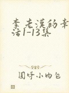 李老汉的幸福生活1-13集