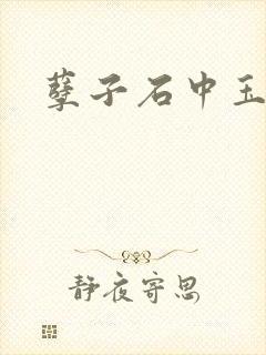 孽子石中玉封面