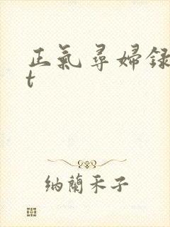 正气寻妇录txt封面