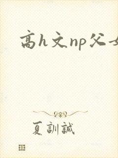 高h文np父女