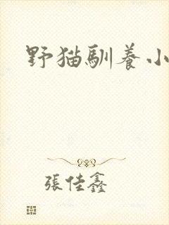 野猫驯养小说